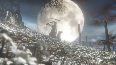 323