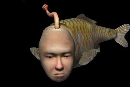 536
