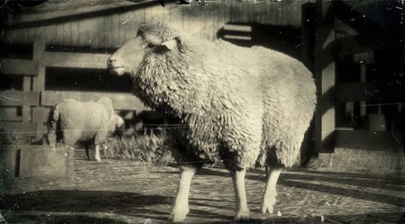 34