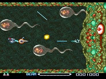 51