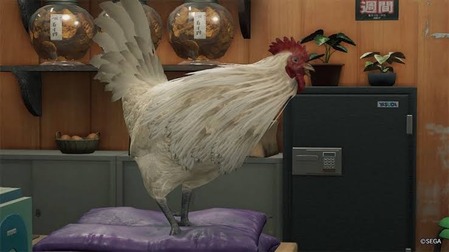 585