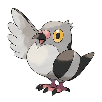52