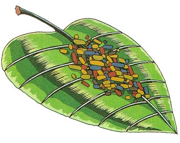 146