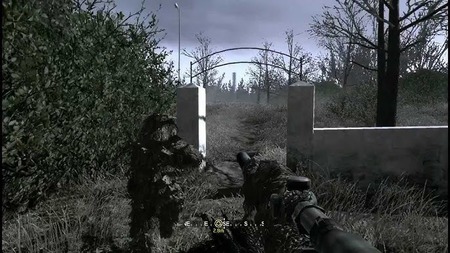 66