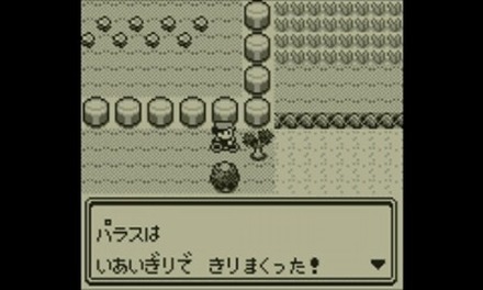 初代ポケモンあるある を挙げていこうぜwwwww ゲーハー黙示録 初代ポケモンあるある を挙げていこうぜwwwww ゲーハー黙示録
