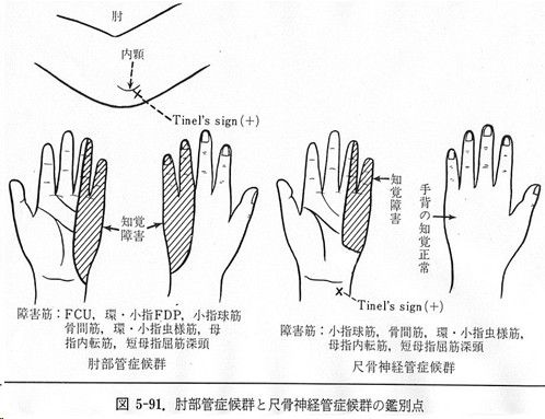 イメージ 6