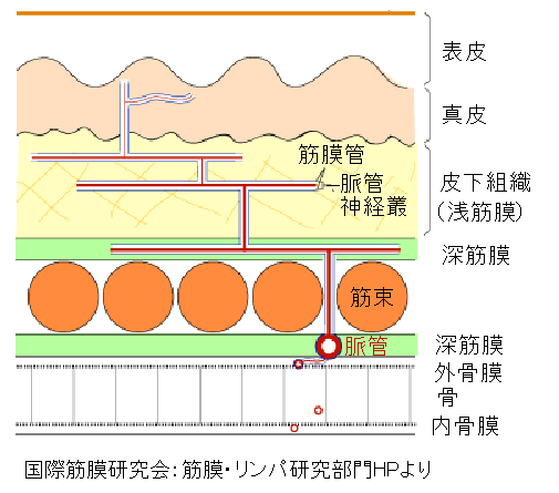 イメージ 7