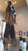 P_20180624_095935