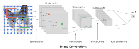 cat_image_convolutions