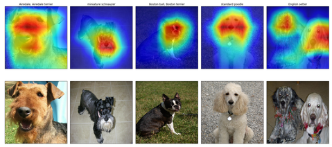 dog_localization