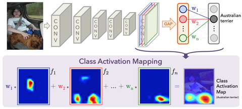class_activation_mapping