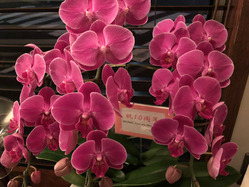 20171107_102659995_iOS