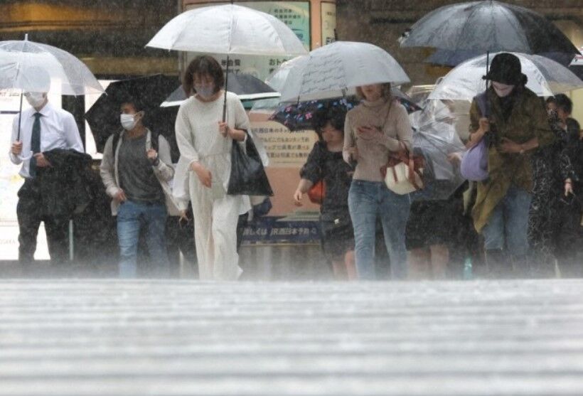 雨が降ると感じる 独特の「におい」は2種類あった その発生源は? : 丹沢z3の気まぐれブログ