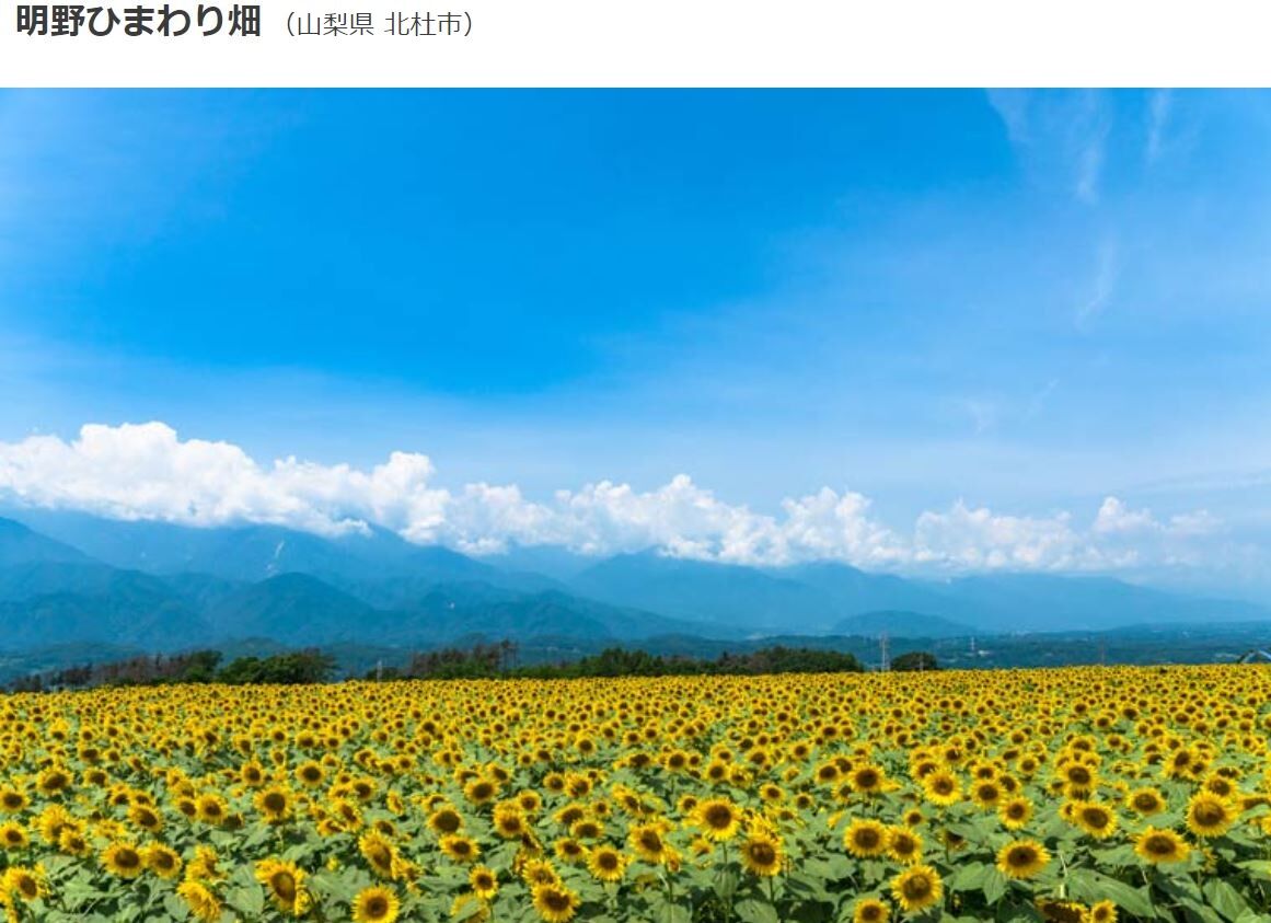 21 全国ひまわり畑の名所 一面が黄色に染まる夏の絶景 丹沢ｚ３の気まぐれブログ
