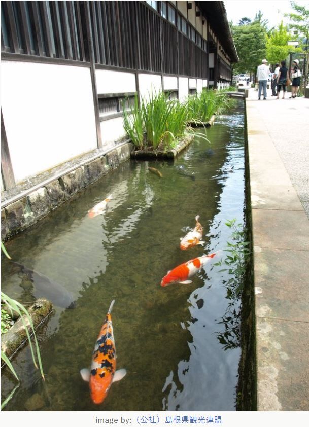 観光 一生に一度は行きたい 歴史を歩く 小京都 5選 四国 中国 九州 丹沢ｚ３の気まぐれブログ