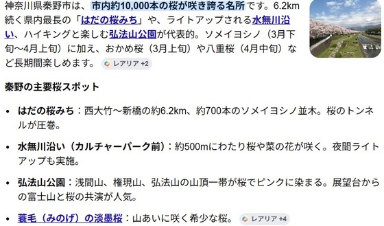 秦野は桜のまち２