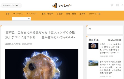マンボウ