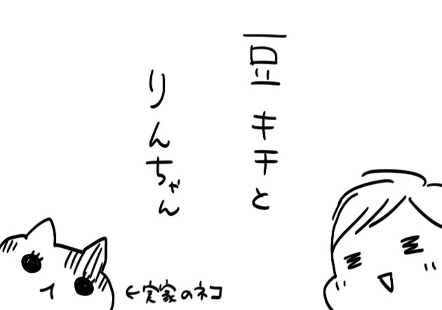 4-6-illustrator-powered-by