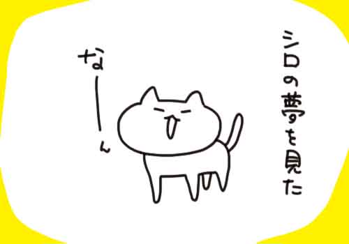 f7a01127-s257