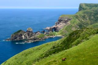 10256158_699333833523396_7242346374038225857_n