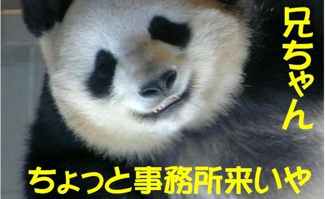 ヤクザパンダ