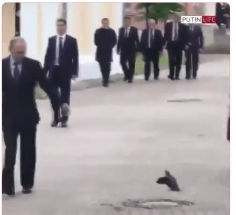 NODさんはTwitterを使っています..