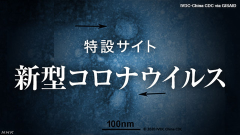 specialcontents_202_3