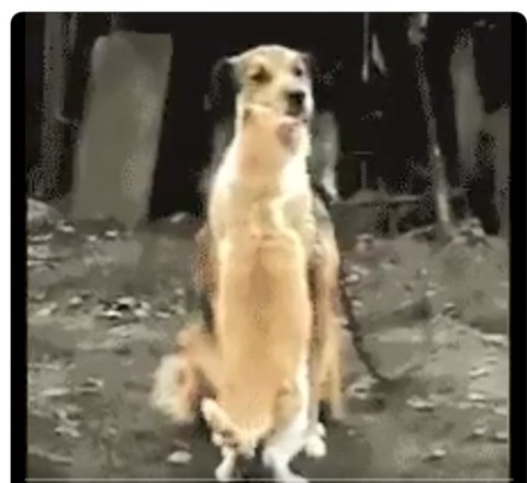 「おっと危ない」