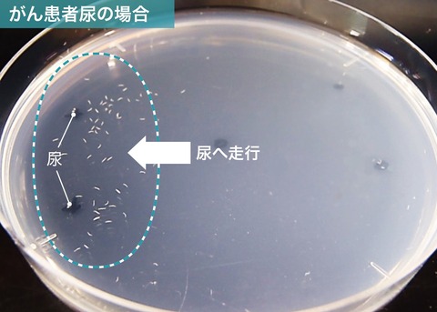 20191001-00010019-nishinpc-000-1-view