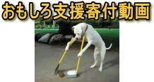 おもしろ支援寄付動画バナー正方形ミニ