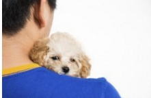 1532160_456526671137448_119872956_n