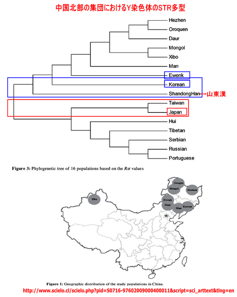 中国北部の集団におけるY染色体のSTR多型