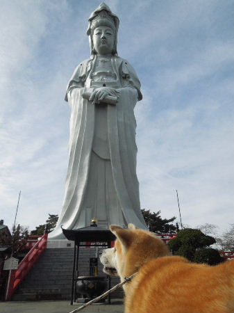 e62128dbfb4c8f4340fb0d206a23700b