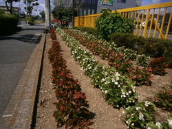 P8070021