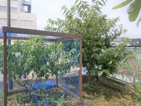 P7200010