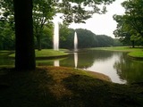 IMG_734559239617443