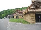 30b8cbfc.jpg