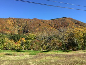 IMG_1122