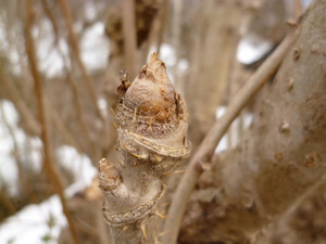 P1090217