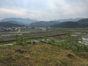 IMG_2237