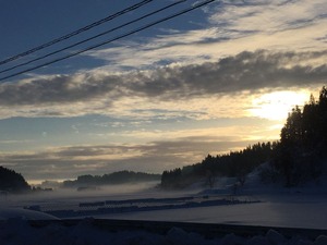 IMG_3366