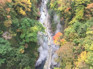IMG_3165