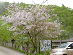 050513