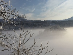 IMG_3393