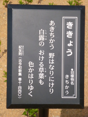 P1090358