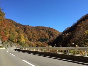 IMG_1123