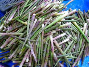 �����Υ�