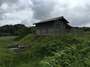 IMG_0697