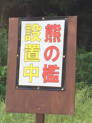 kuma