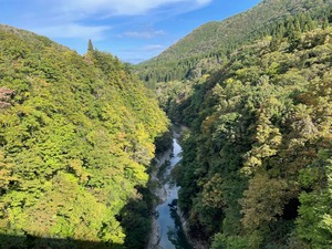IMG_9731